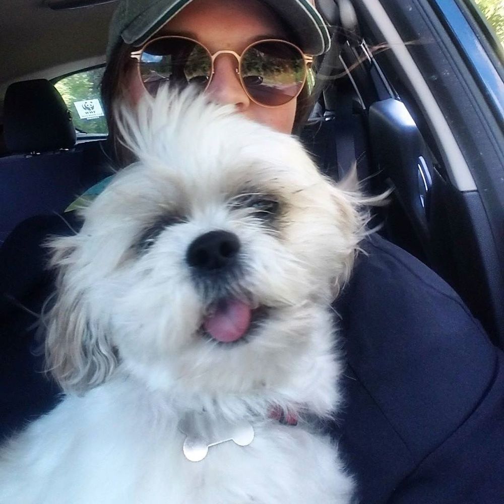 Meet your Posher, Grace